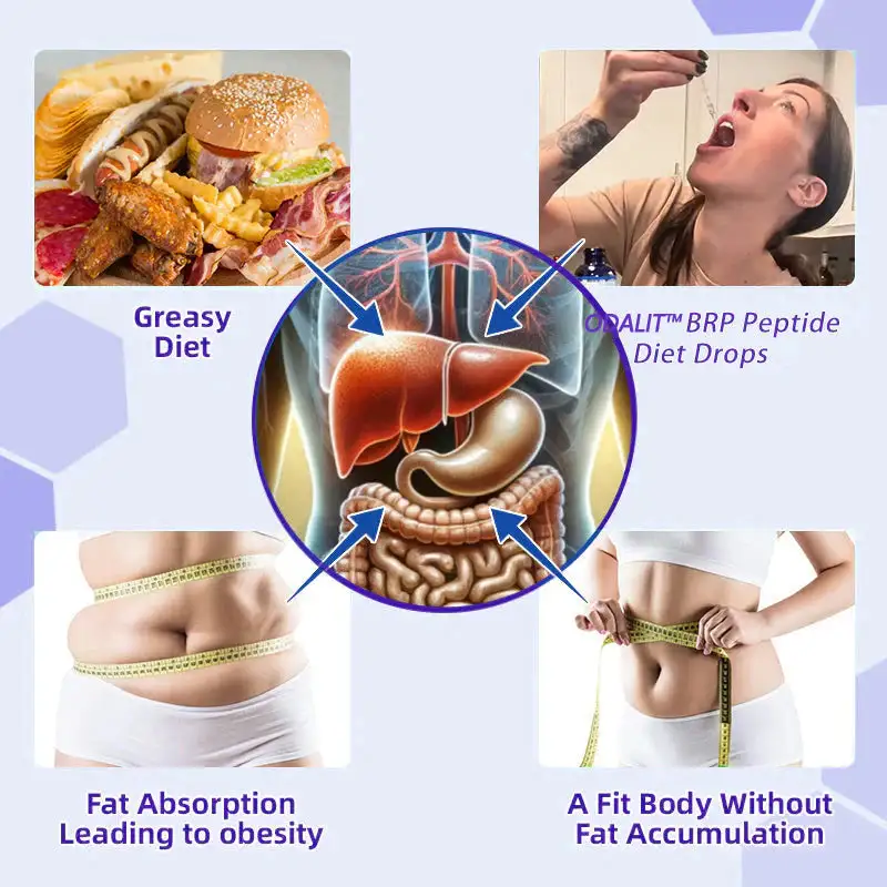 BRP Peptide Diet Drops - Image 5