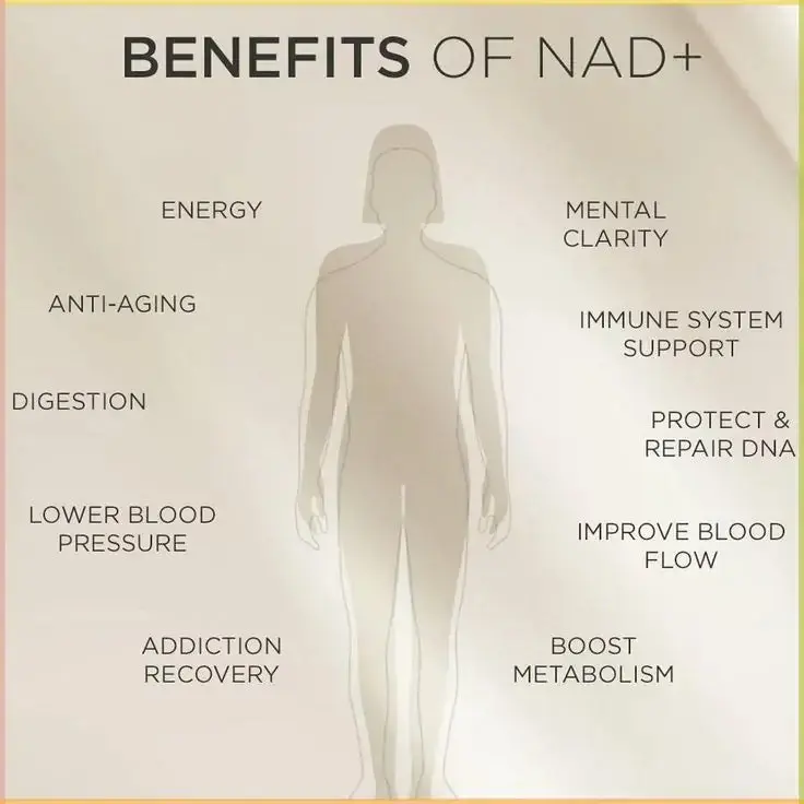 NAD+ Bee Venom Patch - Image 6