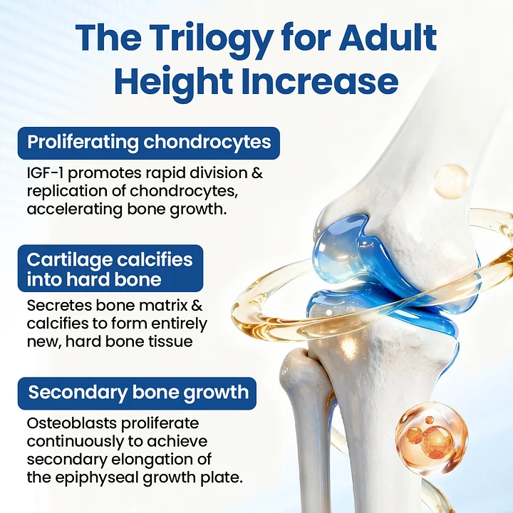 GH-Support Height Spray - Image 3